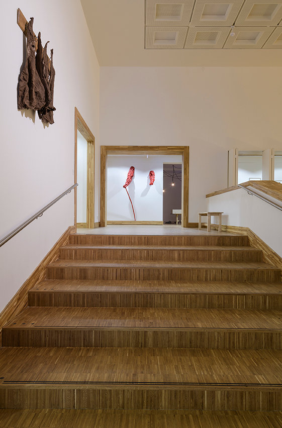 General installation view of Tell Freedom exhibition