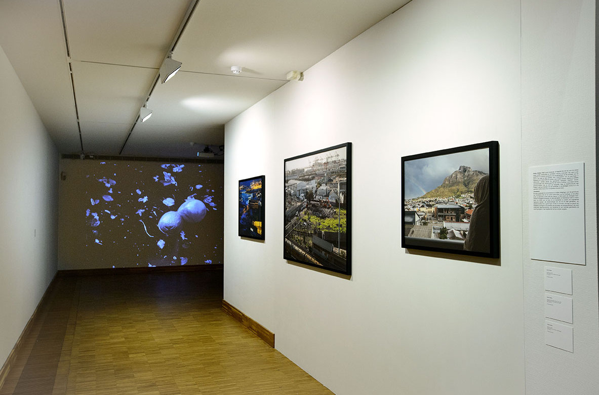 Installation view of work by Ashley Walters